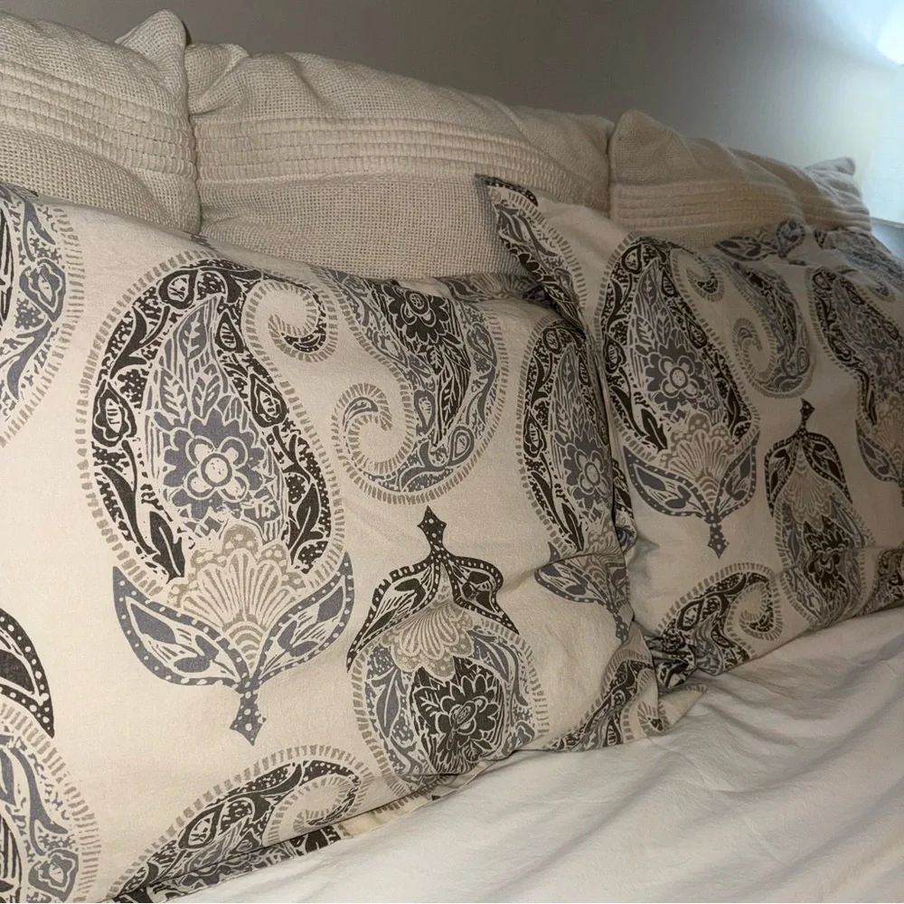 2 Pottery Barn pillow cases